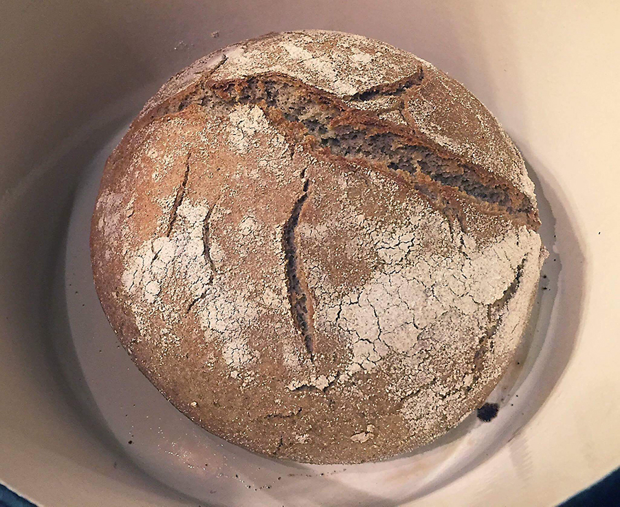 What You Want Is Not What You Knead-No Knead Bread