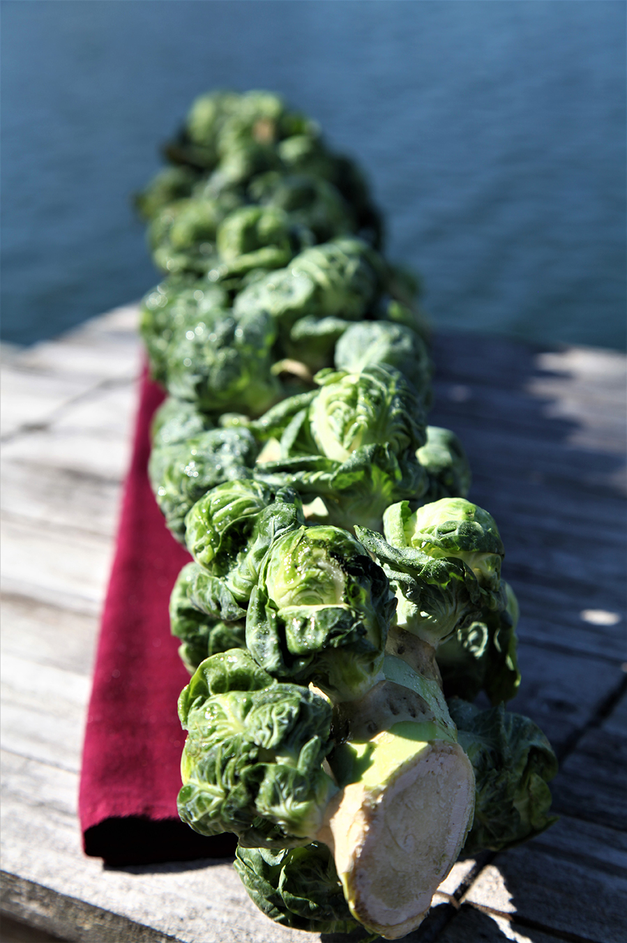 Pan Seared Brussel Sprouts with Local Honey | Chef Dr. Mike