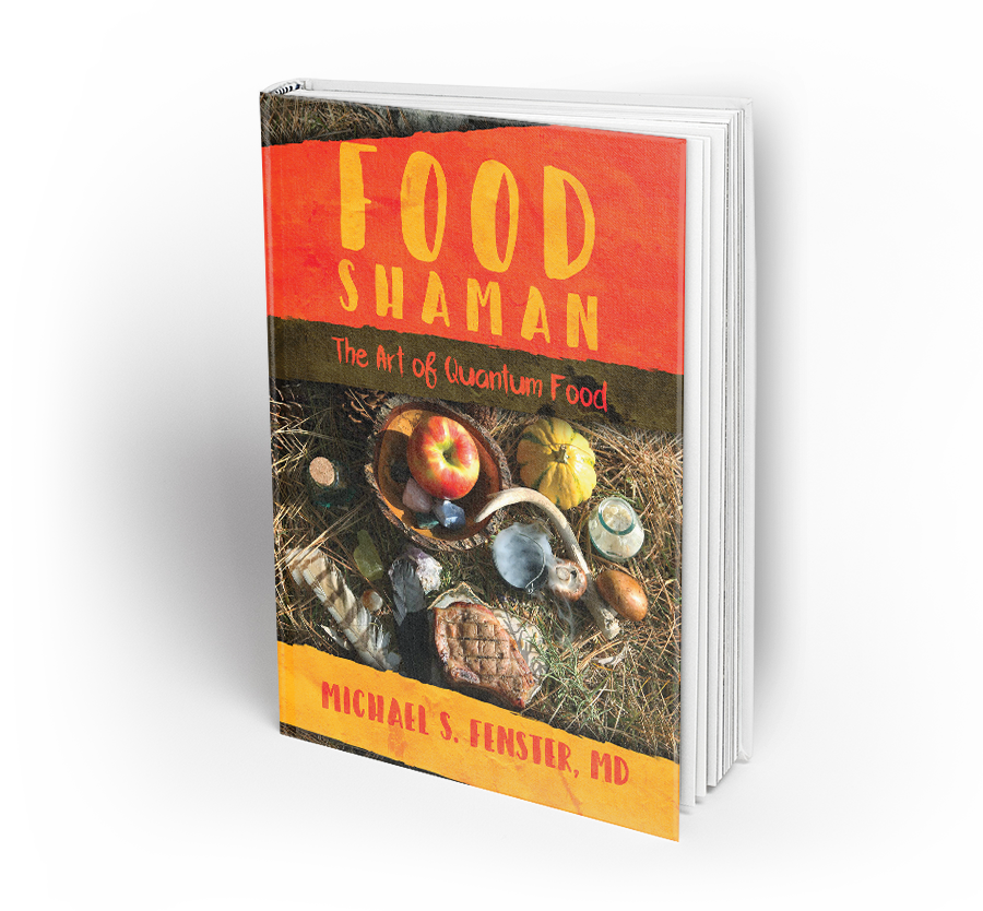 the food shaman cookbook