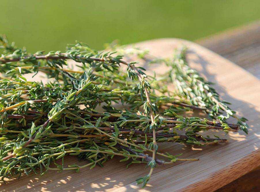 Herbes de Provence - Chef Dr. Mike | chefdrmike.com