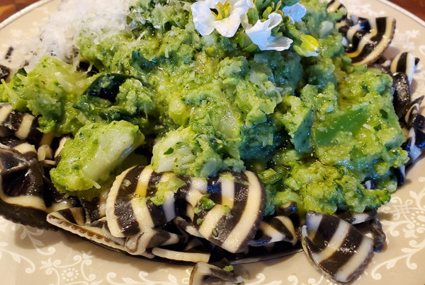 Broccoli Ripassati